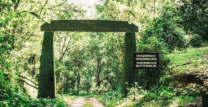 Silent Valley: One of the Last Untouched Rainforests in India