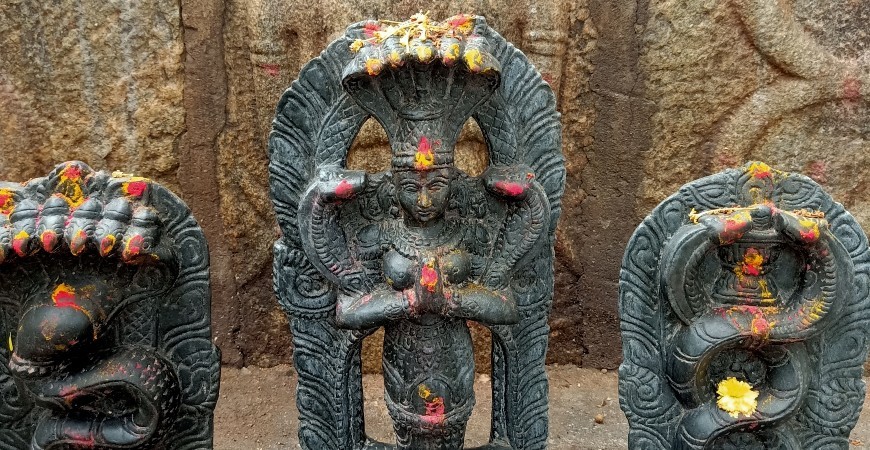 Mannarasala Sree Nagaraja Temple