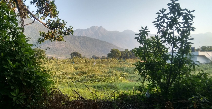 Mangarai - A Charming Rustic Hamlet Mangarai - A Charming Rustic Hamlet