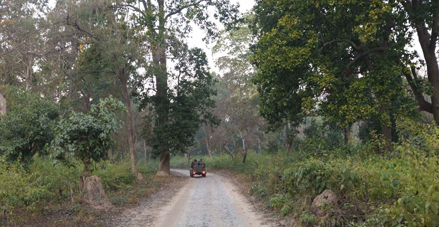 Jim Corbett National Park : Where Adventure Never Ends