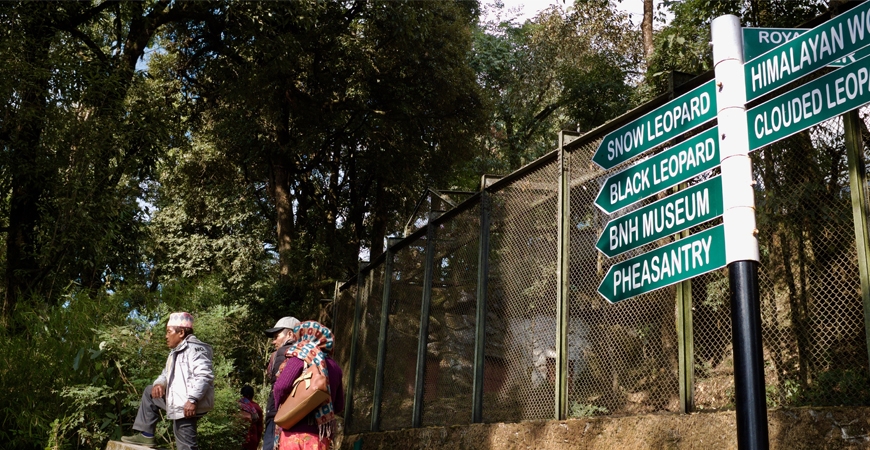 Darjeeling Zoo: Home to the Snow Leopards