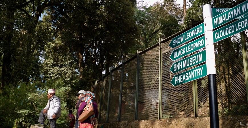 Darjeeling Zoo: Home to the Snow Leopards Darjeeling Zoo: Home to the Snow Leopards