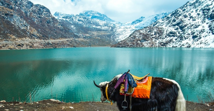 Changu Lake: The Mystical Beauty of Sikkim 