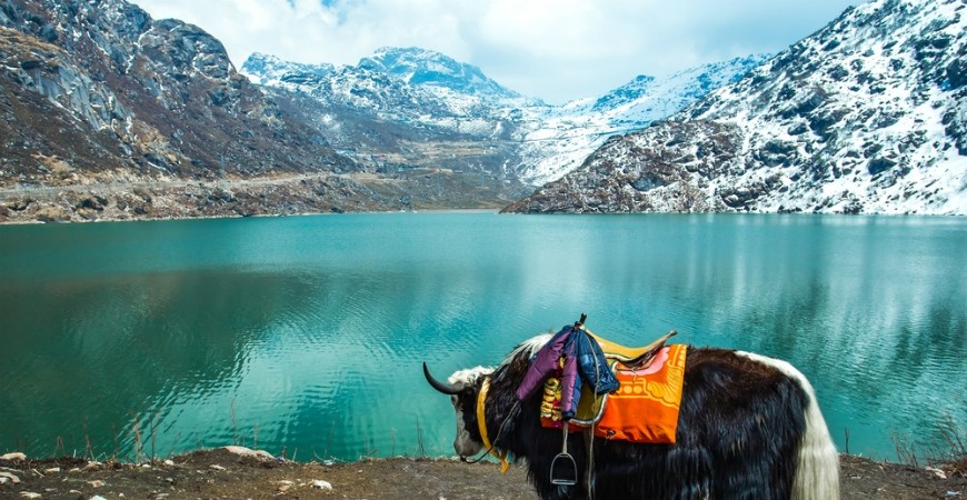 /content/dam/sterlingholidays/activities/gangtok/mustdo/bannerimage/gangtok-visit-changu-lake.jpg