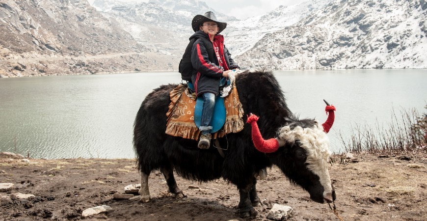 Yak Safari: Land of Glacial Lakes, Panoramic Sight of Himalayan Range, Rugged Terrain and A YAK