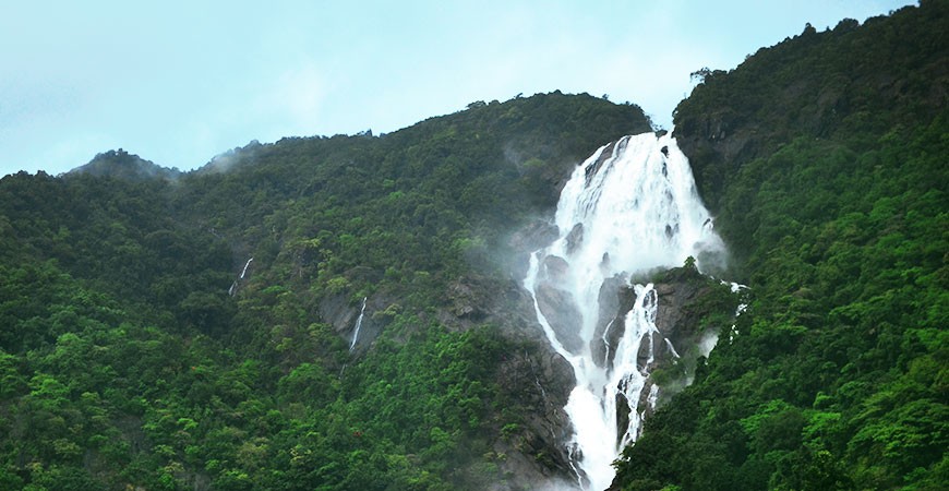 Dudhsagar Falls : Experience the Sea of Milk Dudhsagar Falls : Experience the Sea of Milk