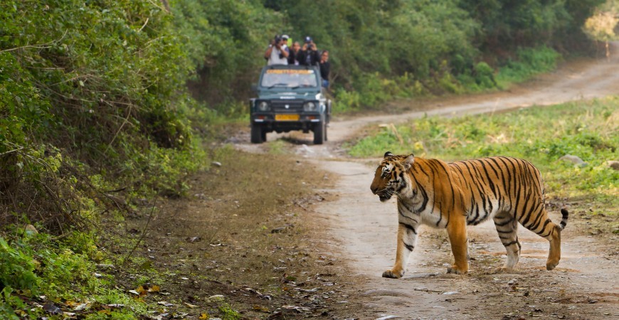 /content/dam/sterlingholidays/activities/haridwar/corbett-haridwar-activity.jpg