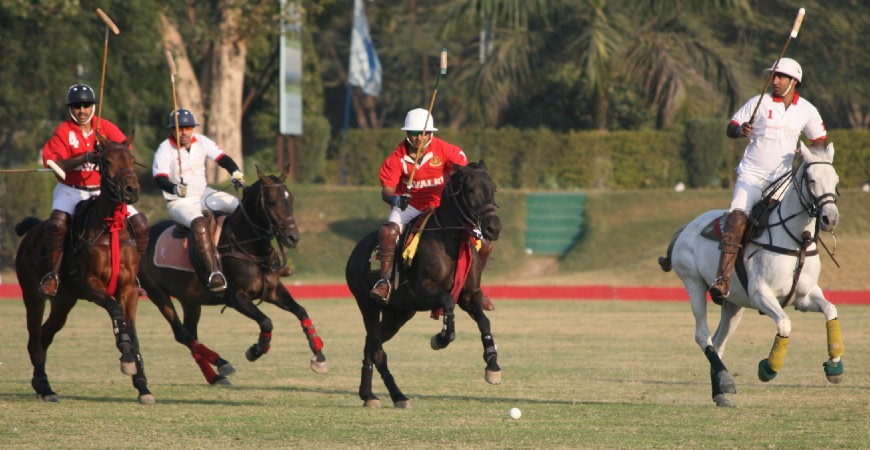 Polo Sport: Play the sports of the royals