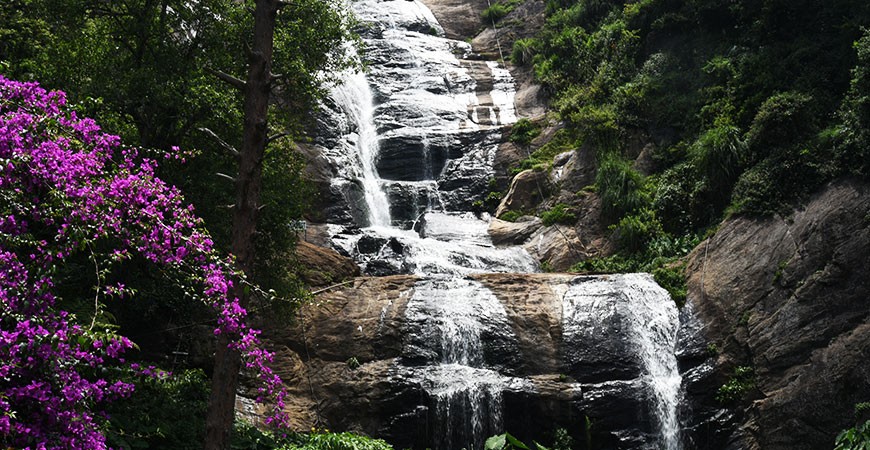 Bear Shola Falls : At the Edge of the Shola Forests Bear Shola Falls : At the Edge of the Shola Forests