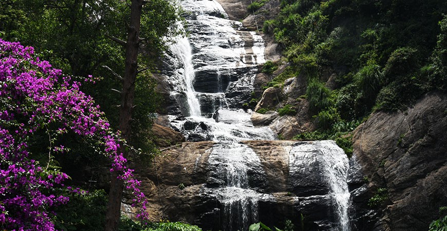 Bear Shola Falls : At the Edge of the Shola Forests