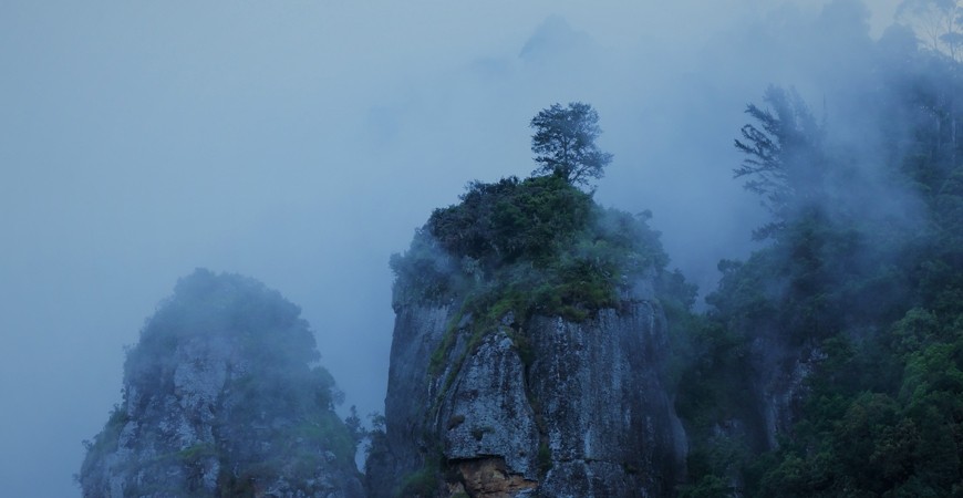 Pillar Rocks: Guardians of a Forest