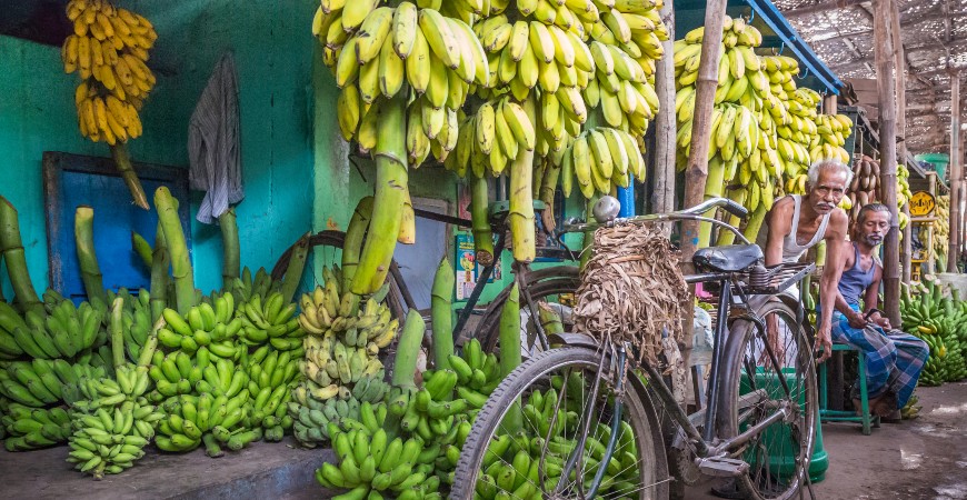 Wholesale Banana Market