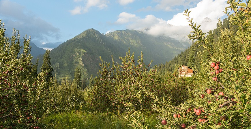 Prini Village Trek: An Enchanting Experience Prini Village Trek: An Enchanting Experience