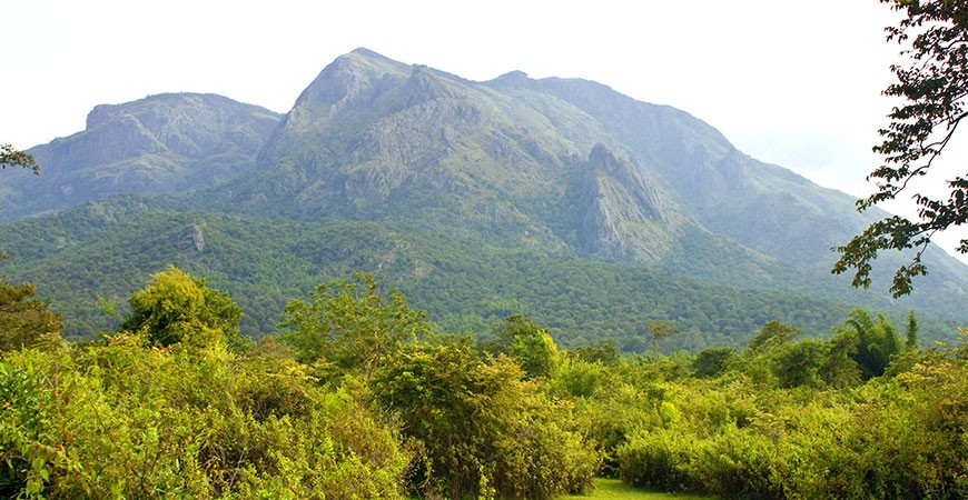 Mudumalai National Park- Step Into The Wilderness