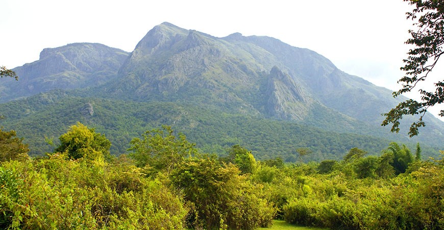 Mudumalai National Park- Step Into The Wilderness Mudumalai National Park- Step Into The Wilderness