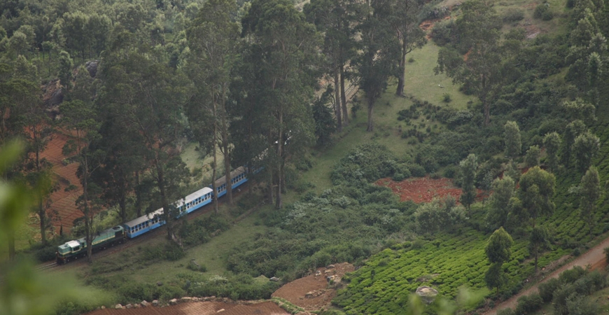 The Blue Mountain Express: The Steepest Track in Asia 