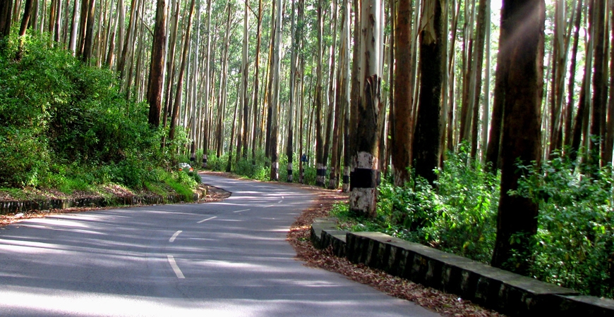 History Trails of Ooty: Colonial Era and Beyond