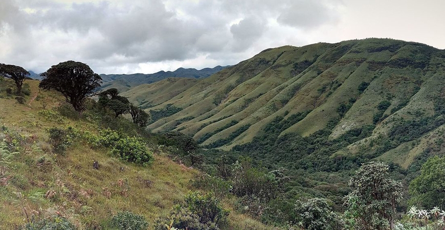 Mukurthi Trek: Nature's Balancing Act