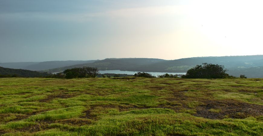 Kaas Plateau