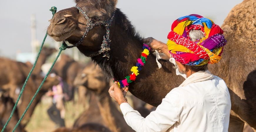 Camel Fair and Mela Ground