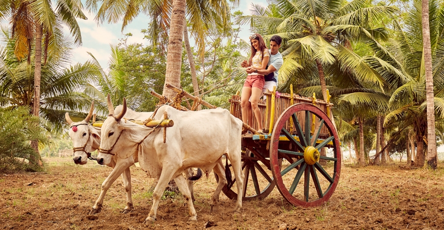 Bullock Cart: Riding a Maatu Vandi