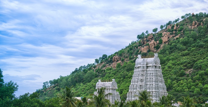 Top Tourist Places in Tiruvannamalai - Arulmigu Arunachaleswarar Temple