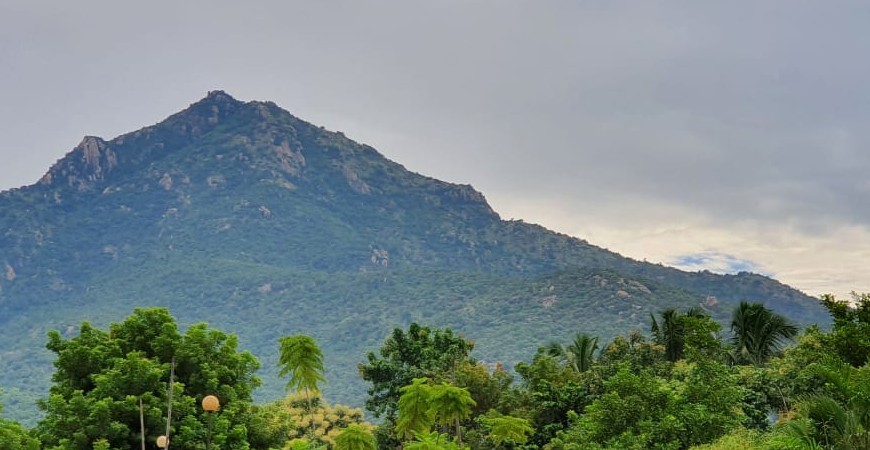 Arunachala Hill Arunachala Hill