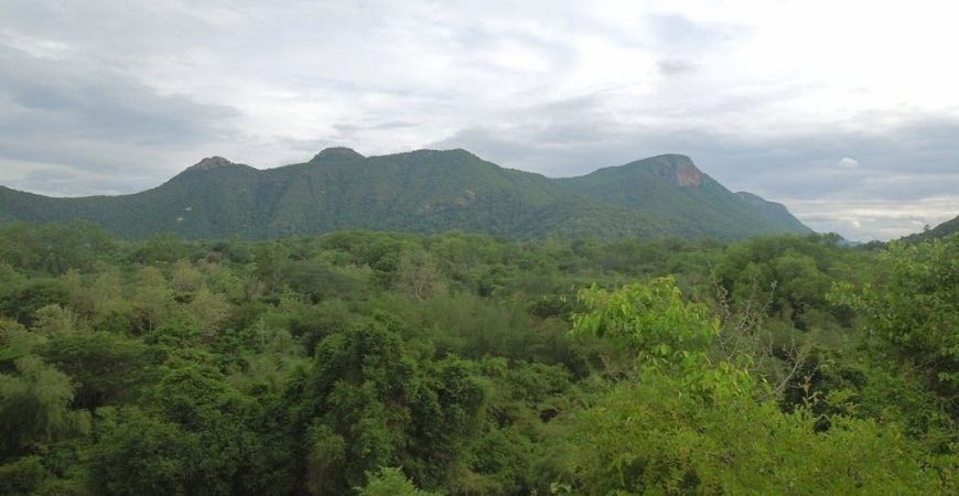 Jawadhu Hills Jawadhu Hills