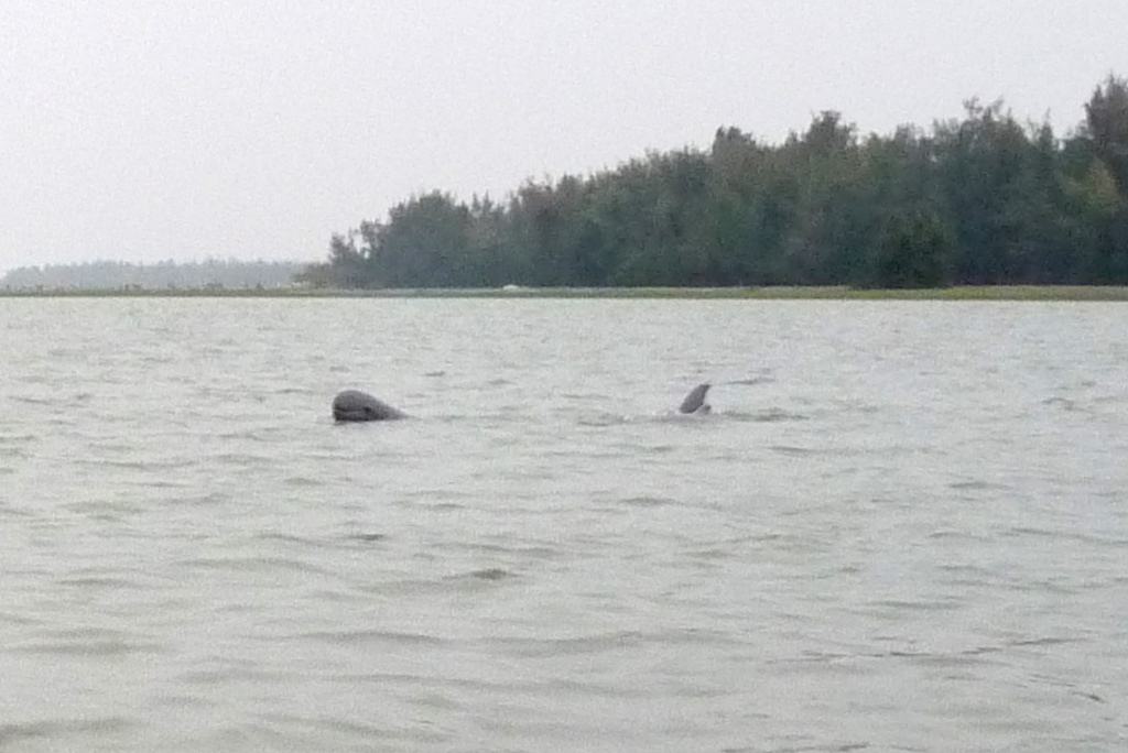 Chilika lake Puri