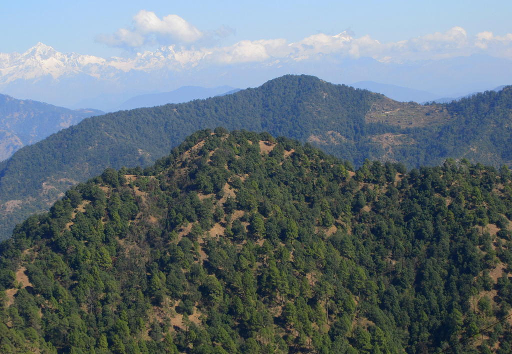 Mussoorie Bear Hills