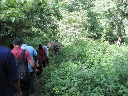 Trekking in Permuda Waterfalls Yealgiri