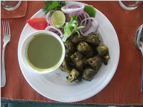 murg pahadi kabab chicken recipe