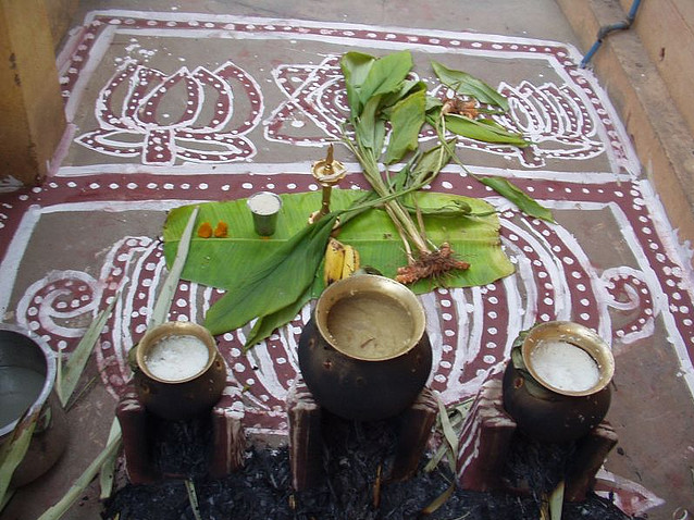 sprit of pongal in rural tamilnadu