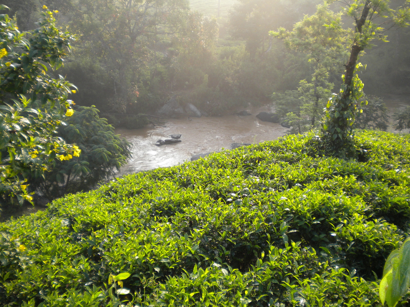 wayanad kerala places to visit