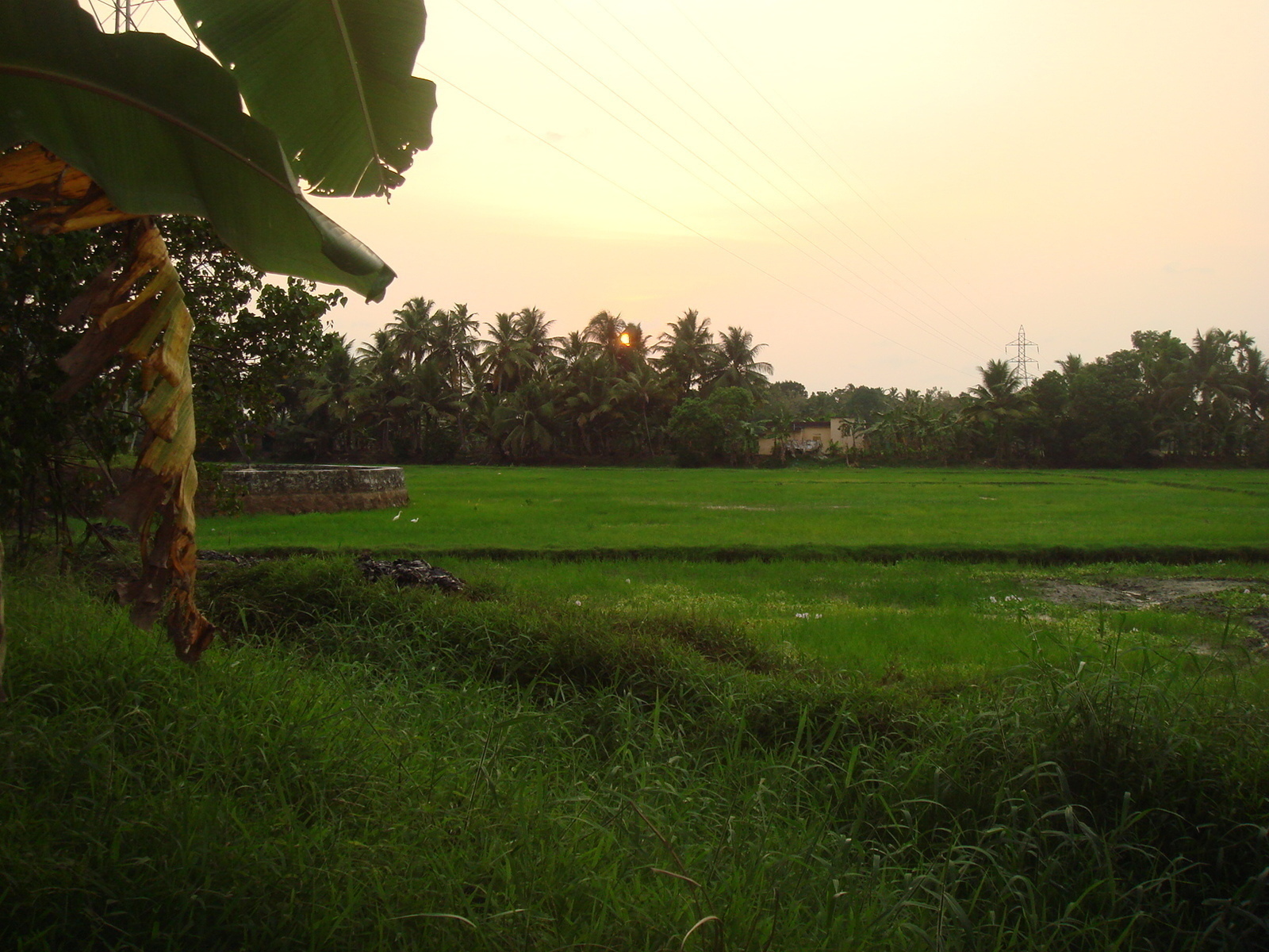 Gods Own Country Kerala-Beautiful Divine Place