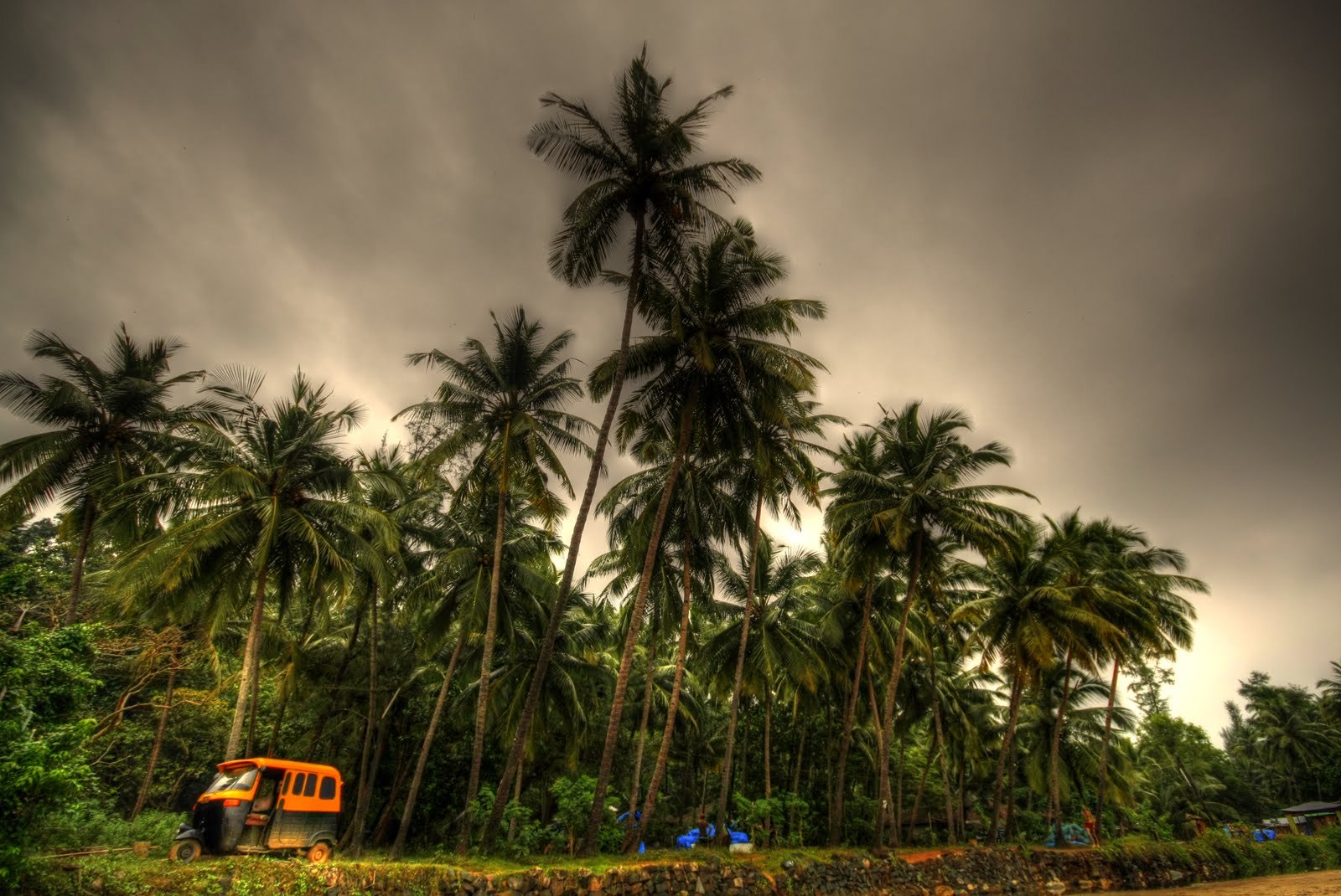 patnem beach goa india images