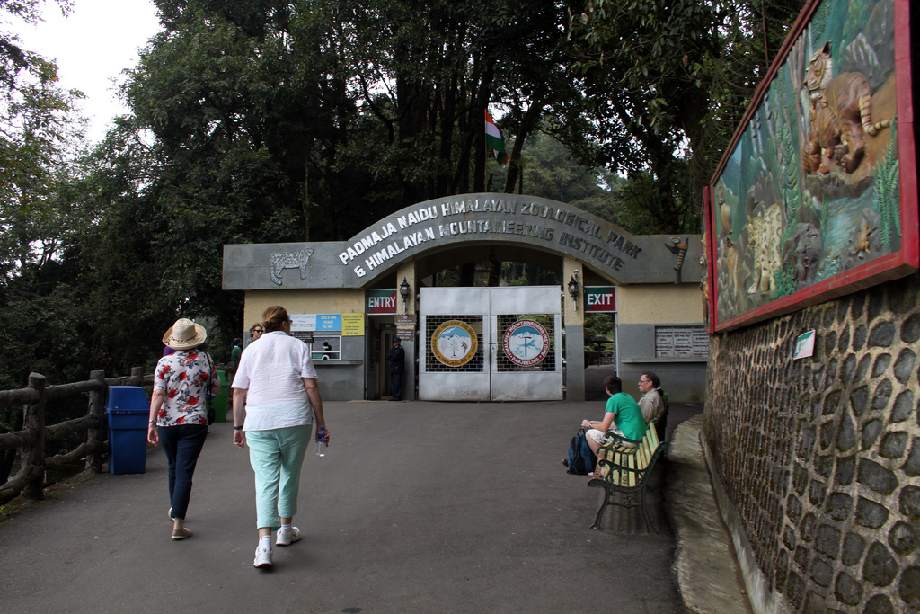 himalayan zoological park gangtok sikkim Images