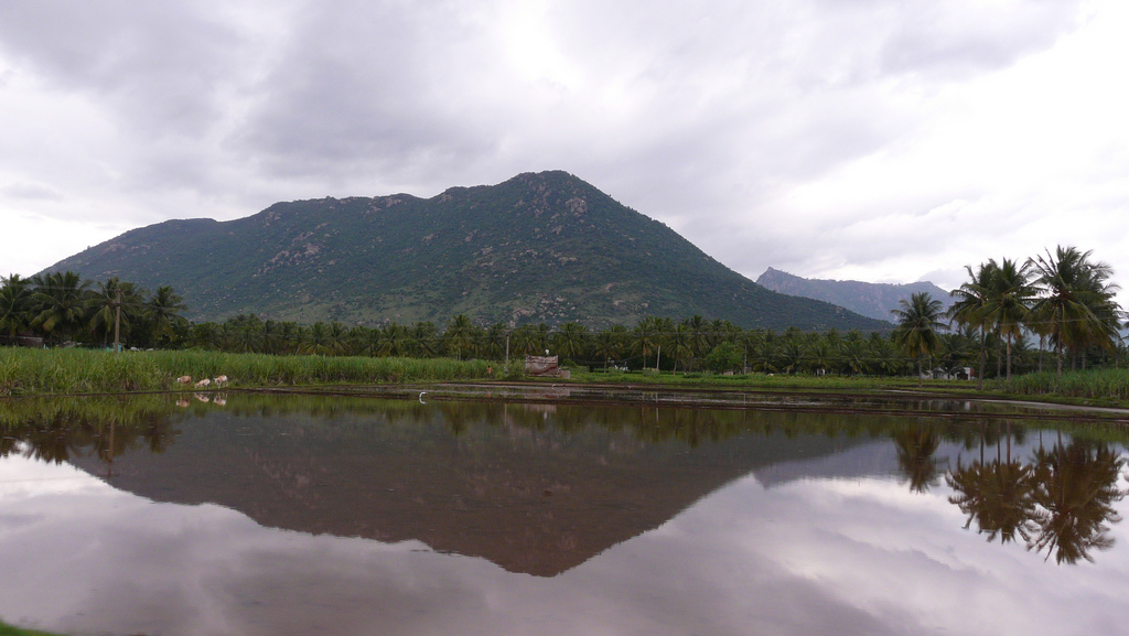 trekking to jalagamparai falls yelagiri images