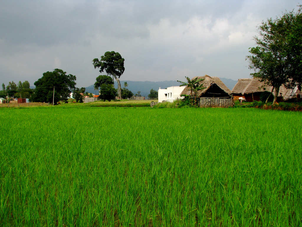 yelagiri tribal villages Image