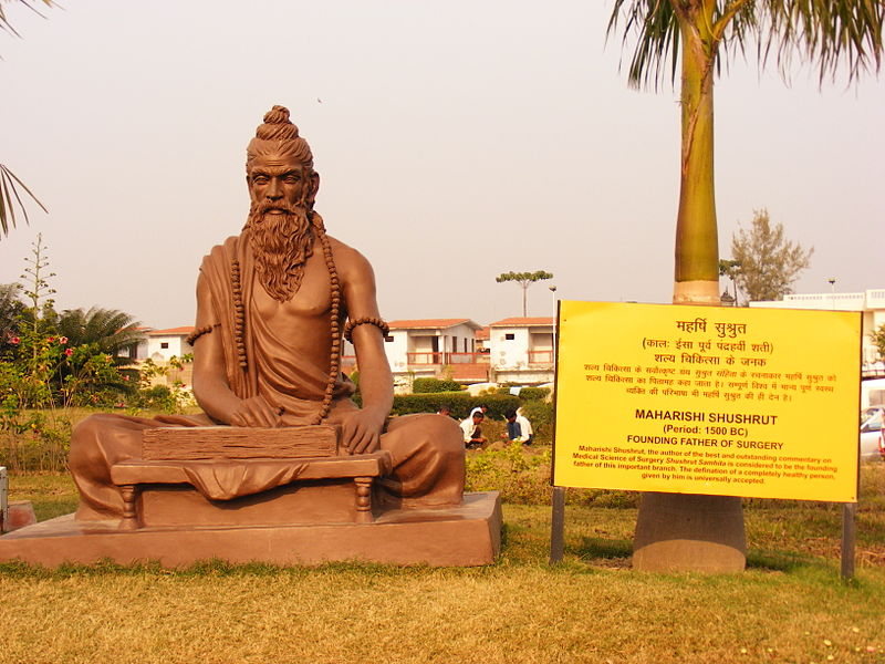 Shushrut Statue In Patanjali Yogpeeth, Haridwar