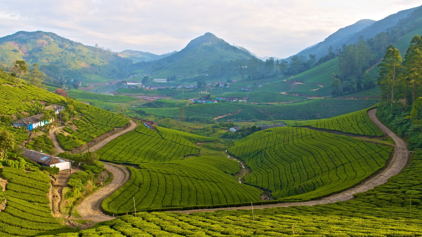 A tryst with the clouds- Meghamalai