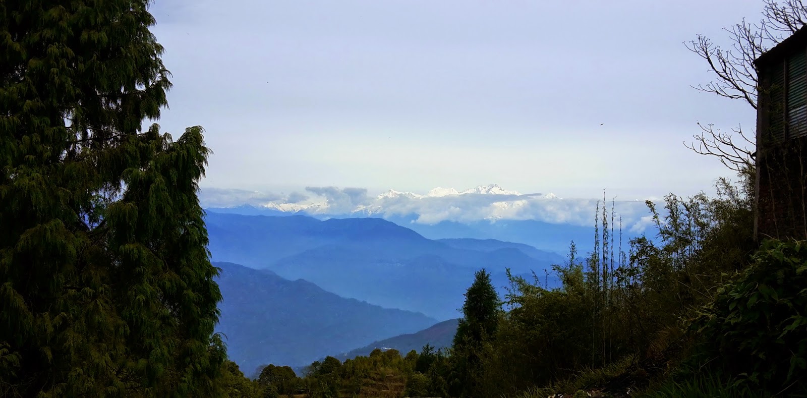 Breath-taking view of the Himalayas visible from my room