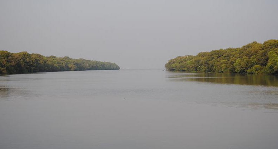 Coringa Wildlife Sanctuary Godavari