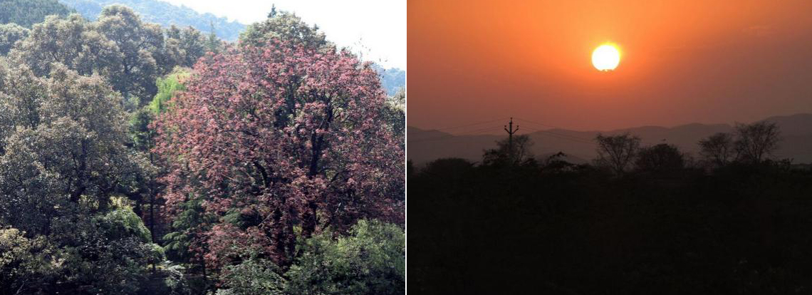 Many colours of spring | Sunset over the Aravalli Hills