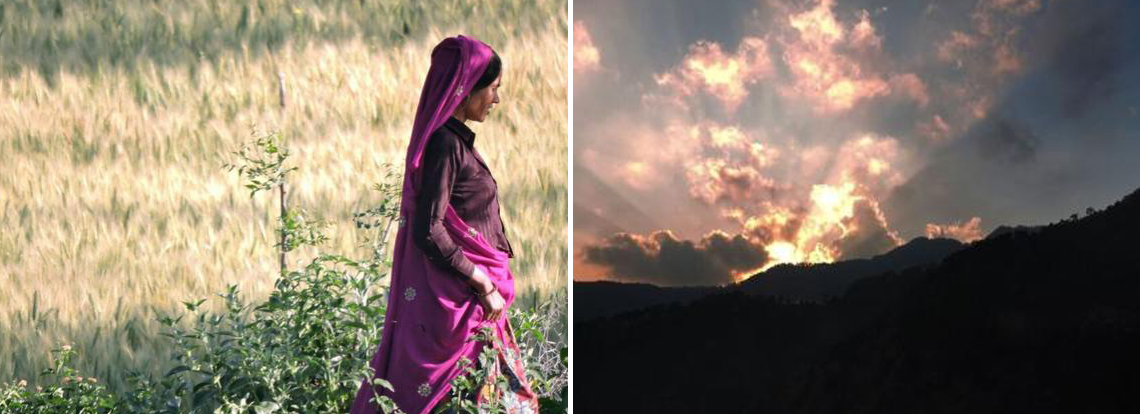 Rajasthani Lady in wheat field | Sunset from Sterling Nainital Bhawanipur greens