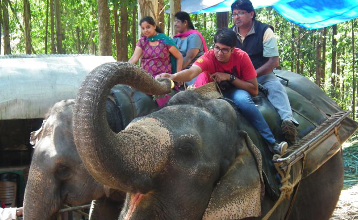 Carmelagiri Elephant Park Munnar