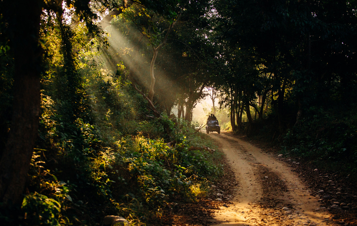 Corbett Jeep Safari - Sterling Corbett