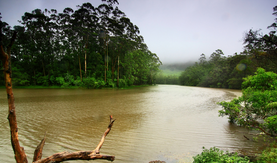 Devikulam Lake Chinnakanal Munnar