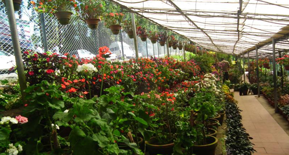 Floriculture Centre Kerala Forest Development Corporation