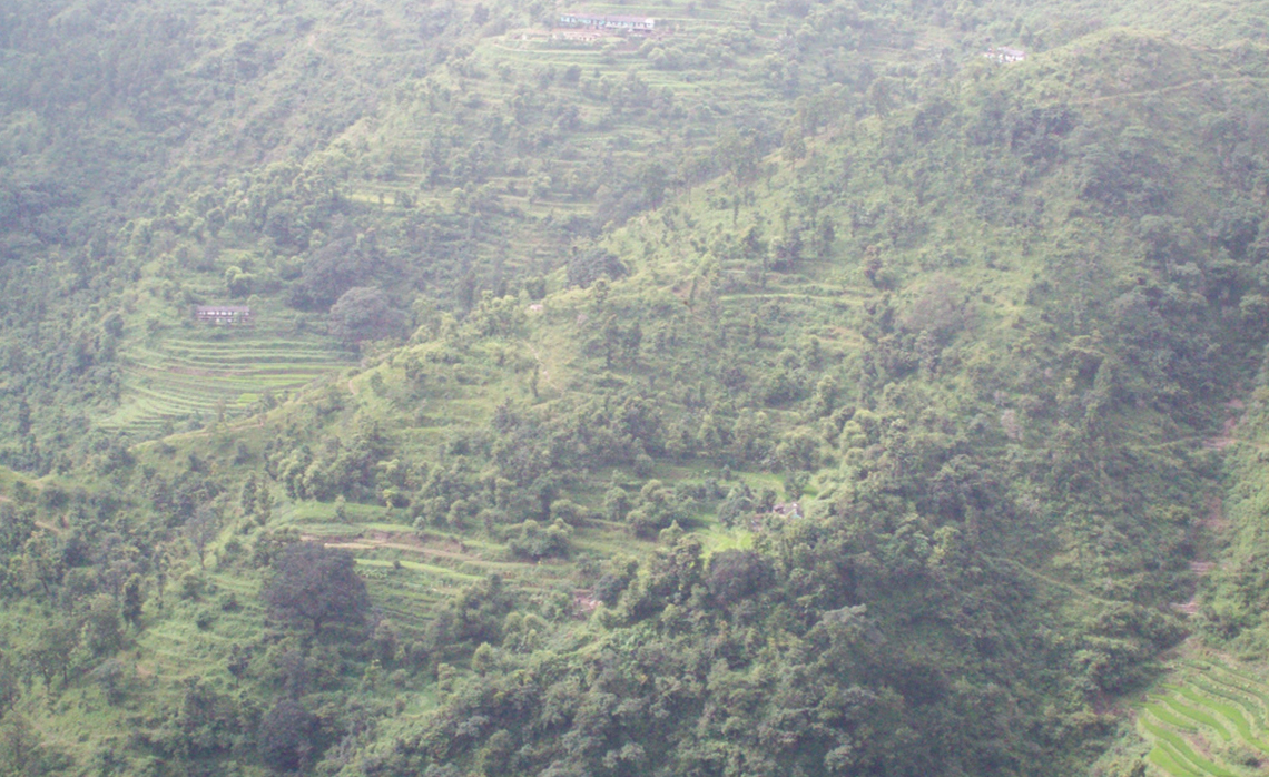 Image Name - Terrace Farming in Uttarakhand